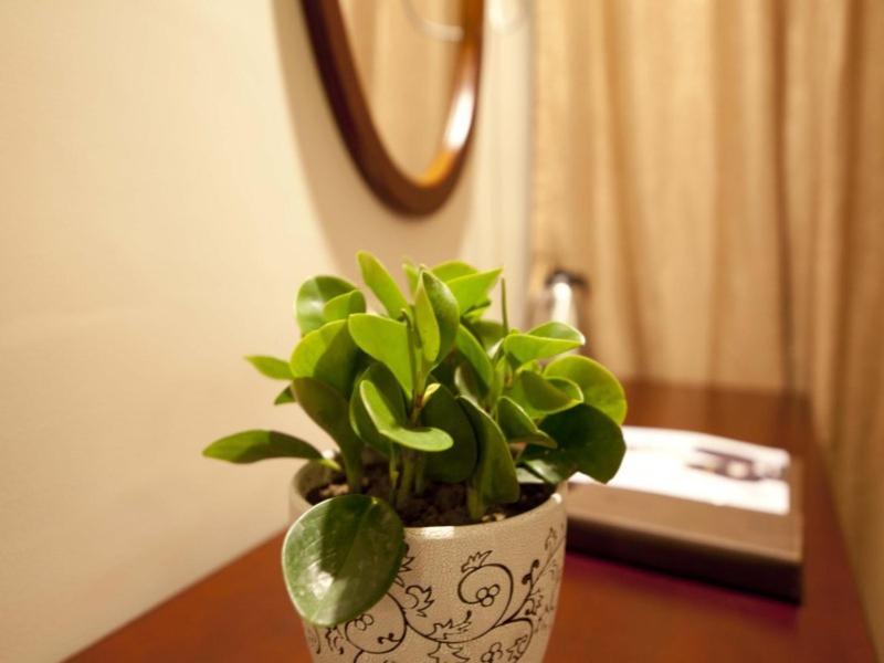 Greentree Inn Zhejiang Taizhou Xianju Passenger Center West Huancheng Road Express Hotel Buitenkant foto